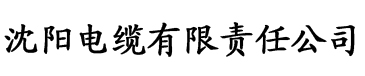 八戒理论电影院电缆厂logo